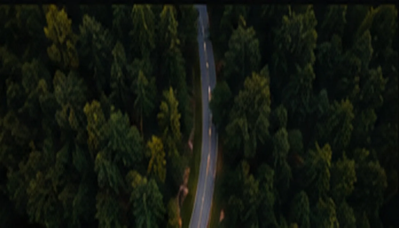 Conceptbeeld van een weg door een bos